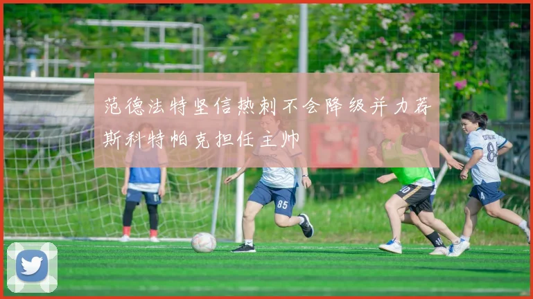 范德法特坚信热刺不会降级并力荐斯科特帕克担任主帅